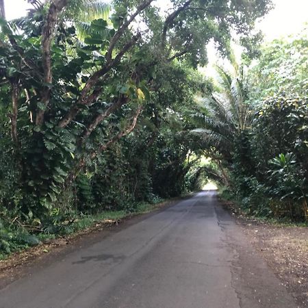 Oceanfront Cottage Near The Kalapana Lava Flows Kehena Exterior foto