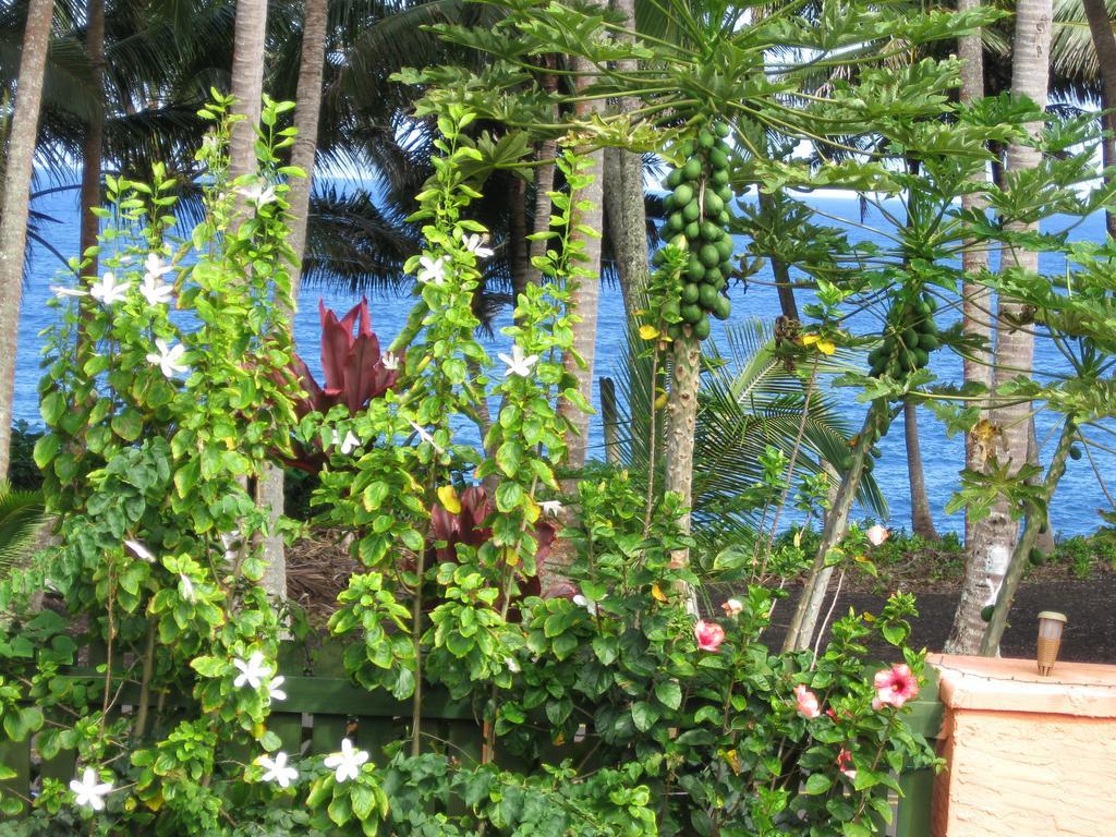 Oceanfront Cottage Near The Kalapana Lava Flows Kehena Quarto foto
