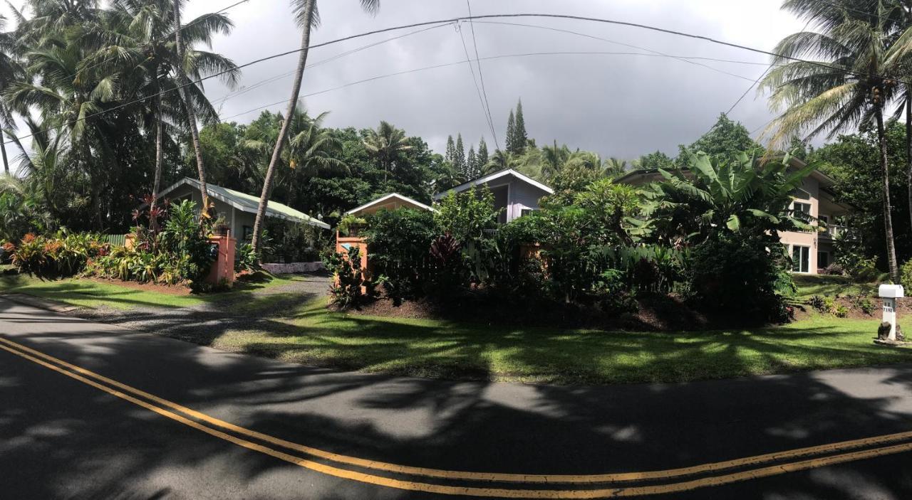 Oceanfront Cottage Near The Kalapana Lava Flows Kehena Exterior foto